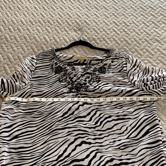 Animal Print. Zebra.  Sequins. Tunic. Fall - Picture 11 of 16